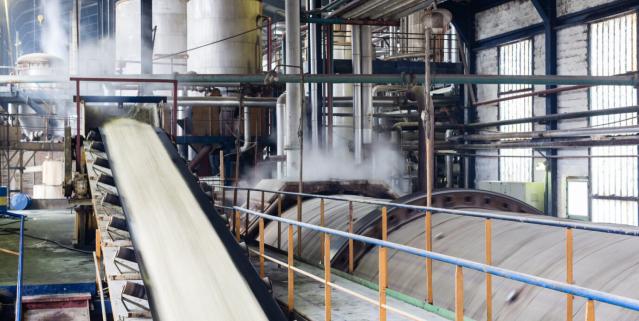 sugar production plant