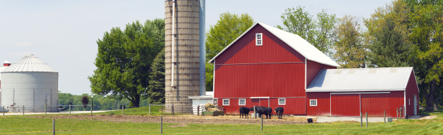 Farmland 