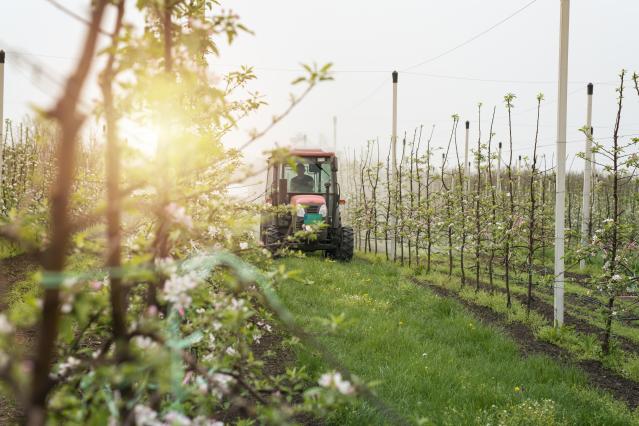 tractor-driving-through-orchard