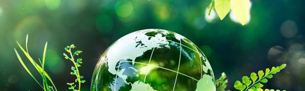 carmeuse_green_planet
